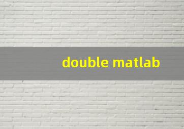 double matlab